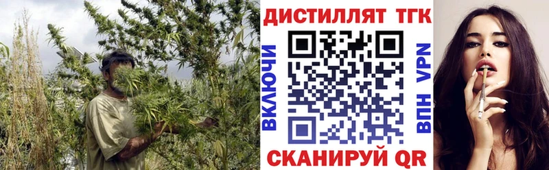 Дистиллят ТГК вейп  где можно купить   mega ссылка  Фёдоровский 